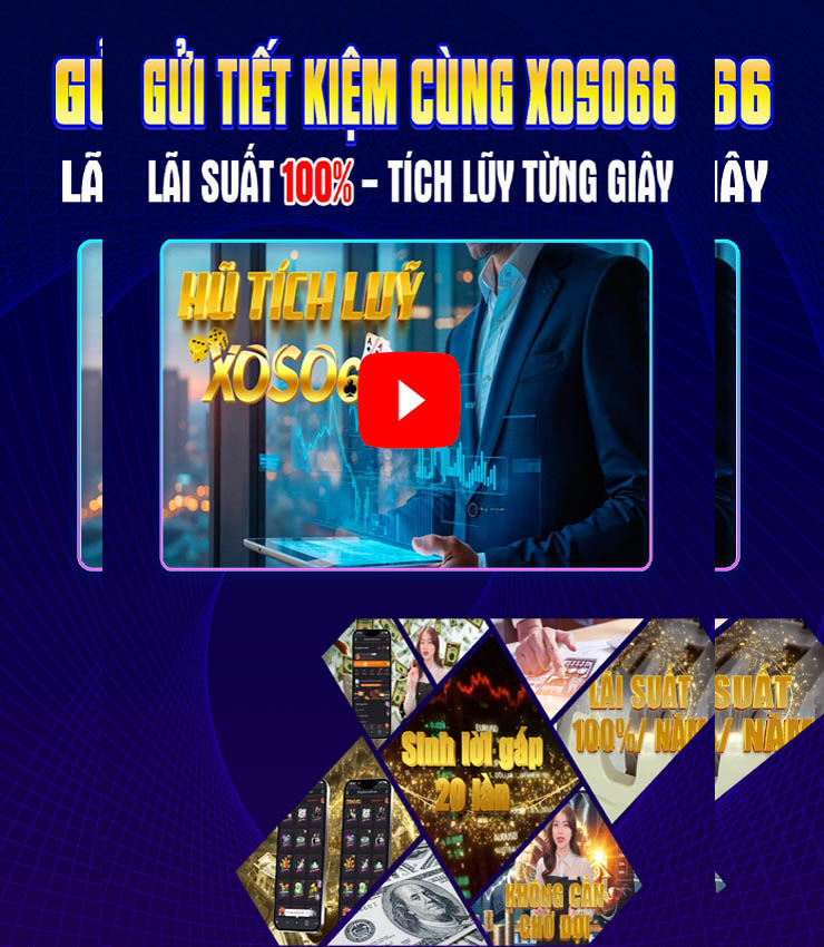Trình chiếu2
