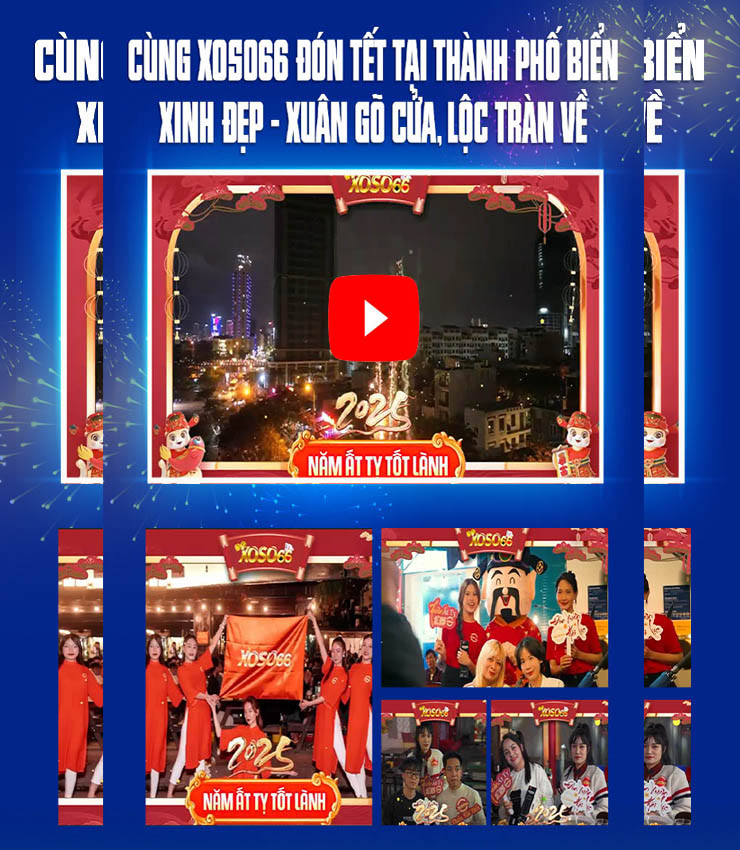 Trình chiếu2