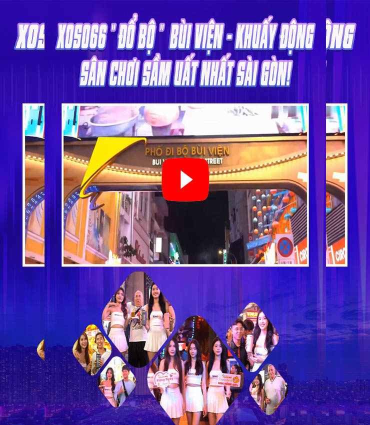 Trình chiếu3