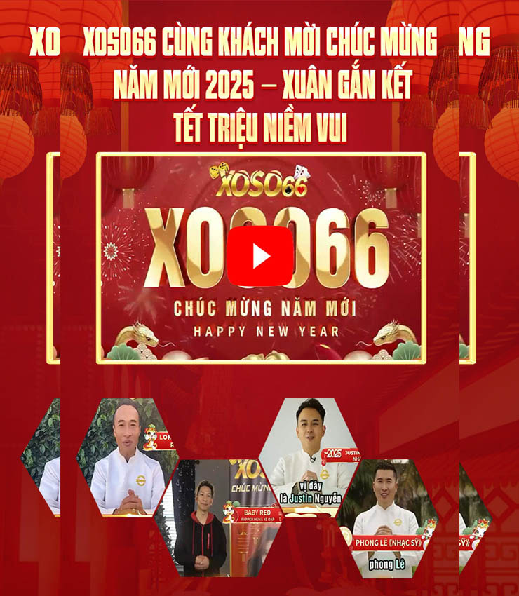 Trình chiếu4