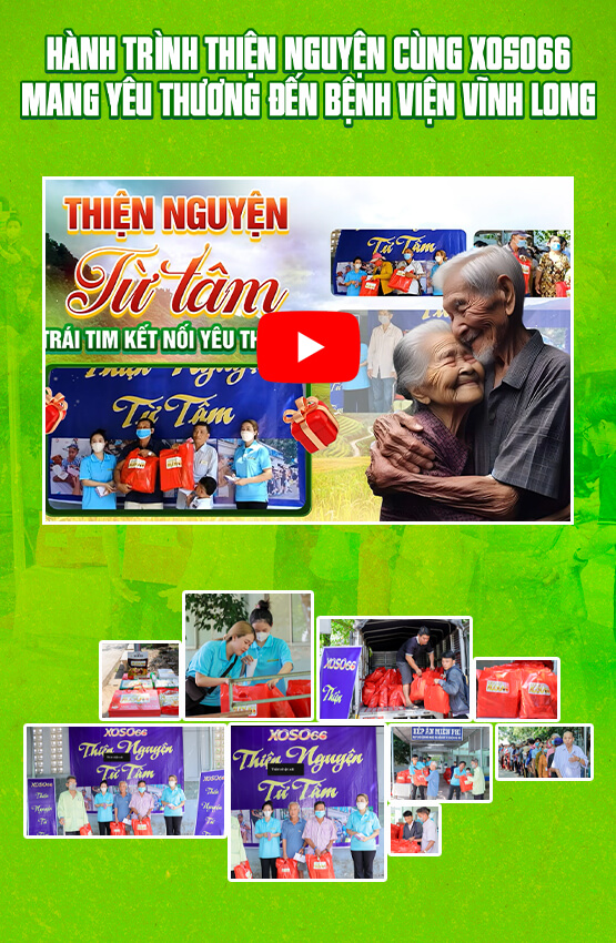 Trình chiếu6
