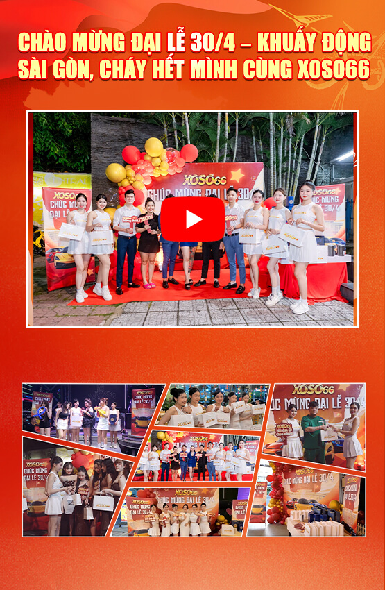 Trình chiếu6